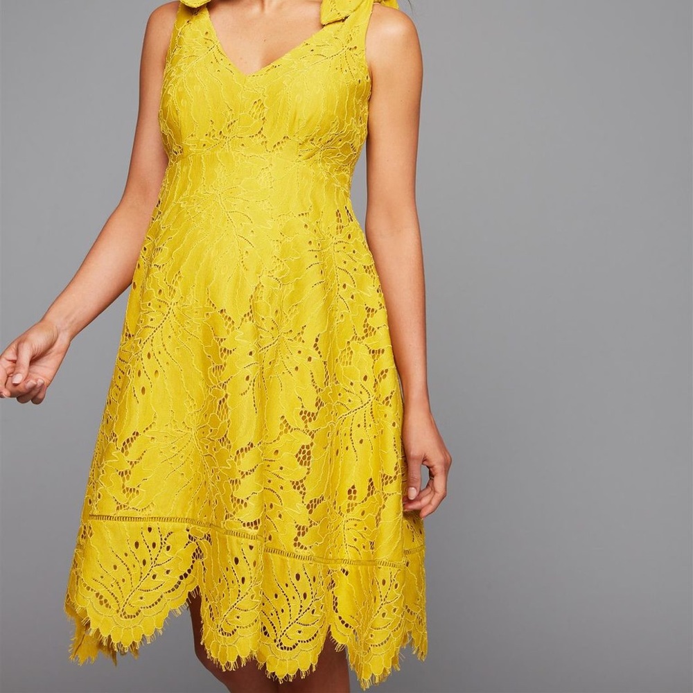 Pea in the Pod Lace Maternity Dress